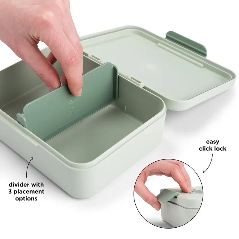 Lunch Box with Divider Playground Green