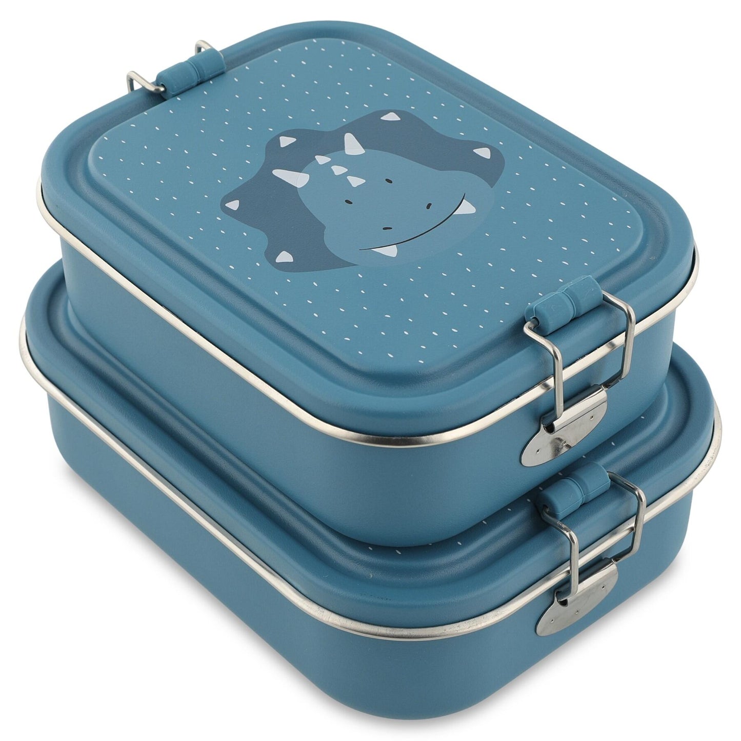 Lunch Box Small - Mr. Triceratops