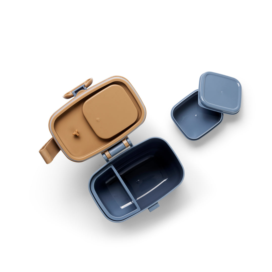 Back to school - Garden Leo Bundle