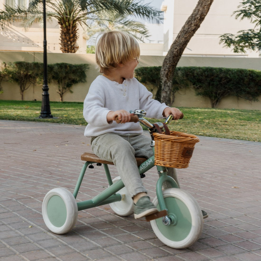 Kids Tricycle Sage