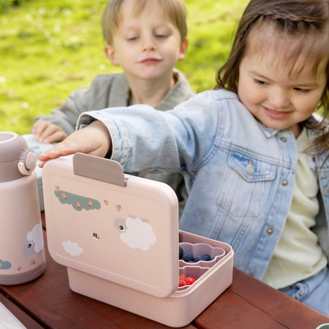 Lunch Box with Divider Tiny Farm Powder