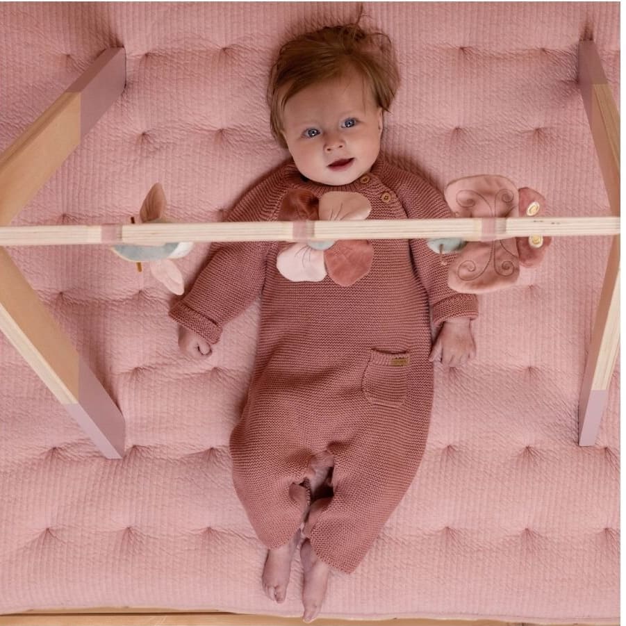 Baby Gym Flowers & Butterflies