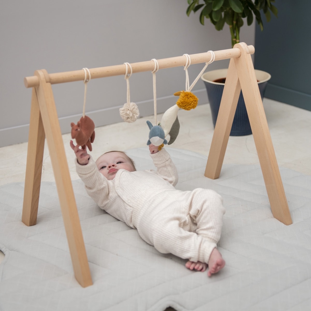 Activity arch - Camel - Heron - Whale