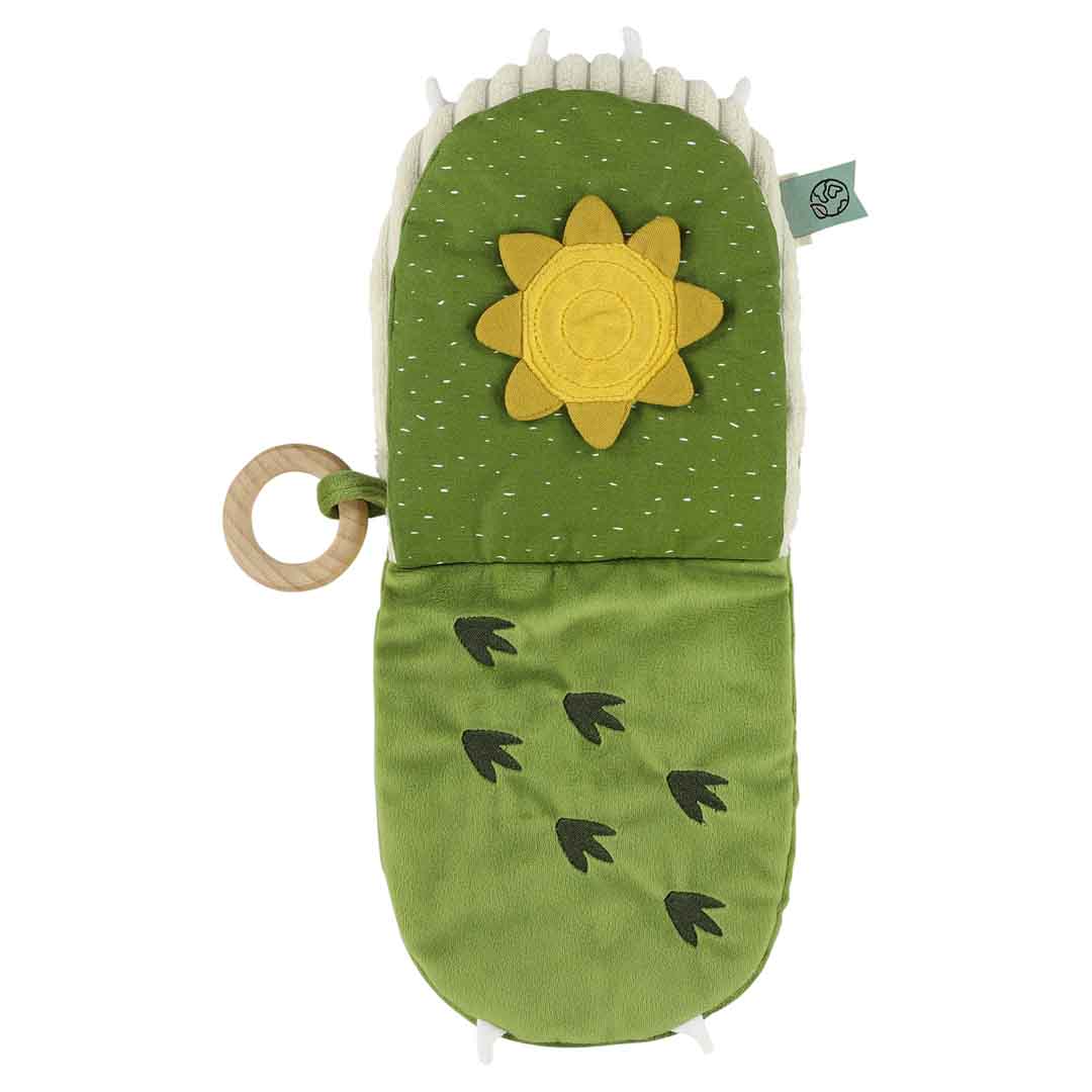 Sensory Book - Mr. Dino