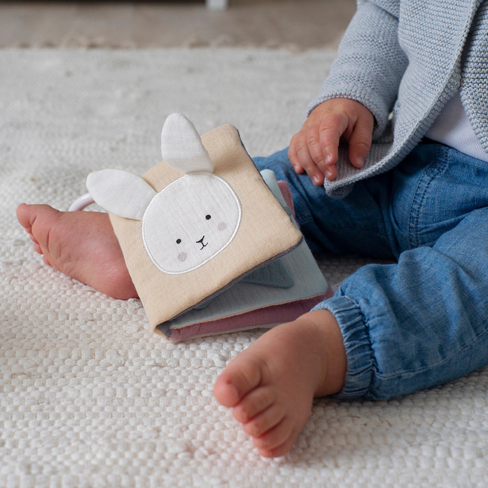 Book Teddy & friends