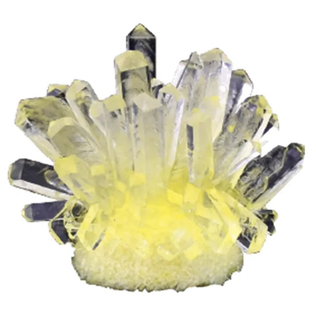 Seeds Crystal Growing