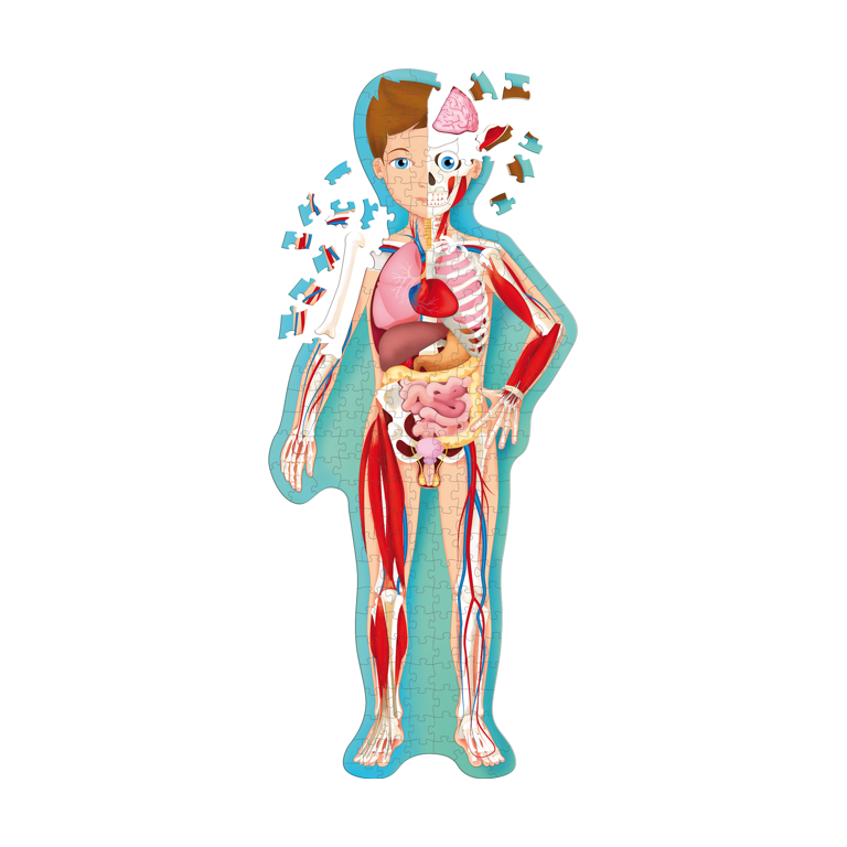 Puzzle - Travel, Learn & Explore - Human Body