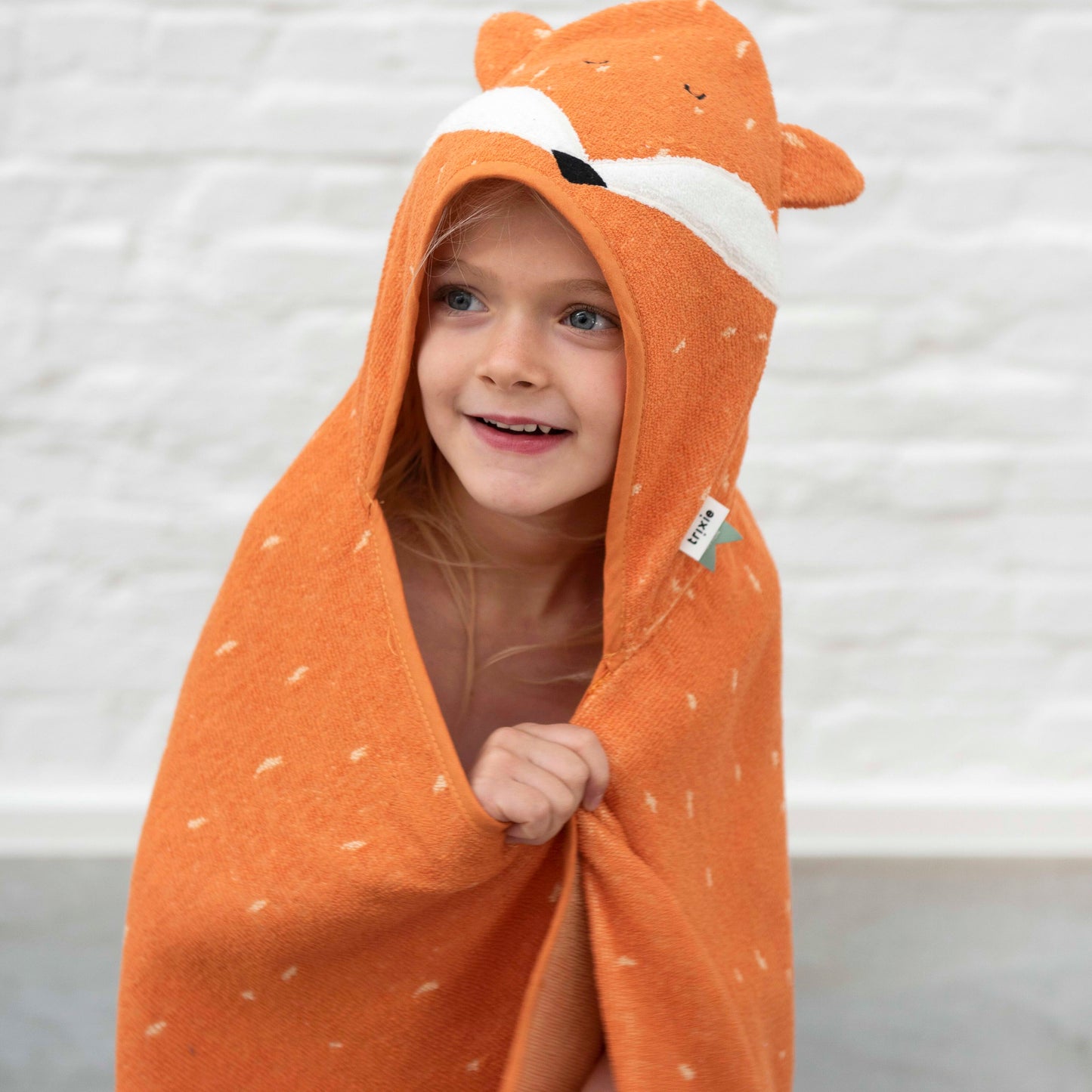 Mr Fox Hooded Towel