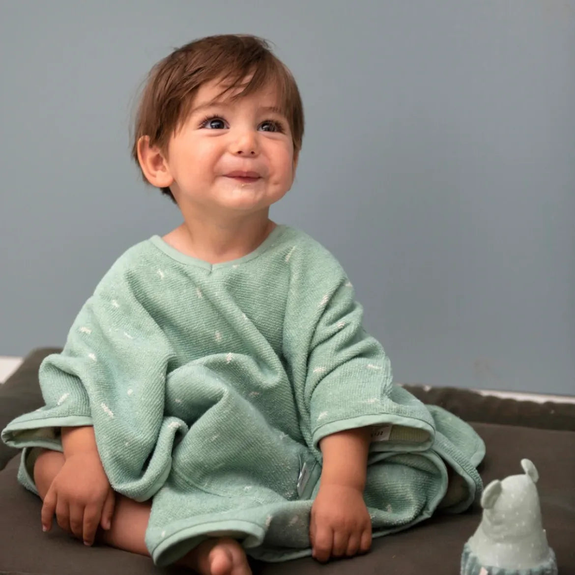 بونشو - السيد بولار بير