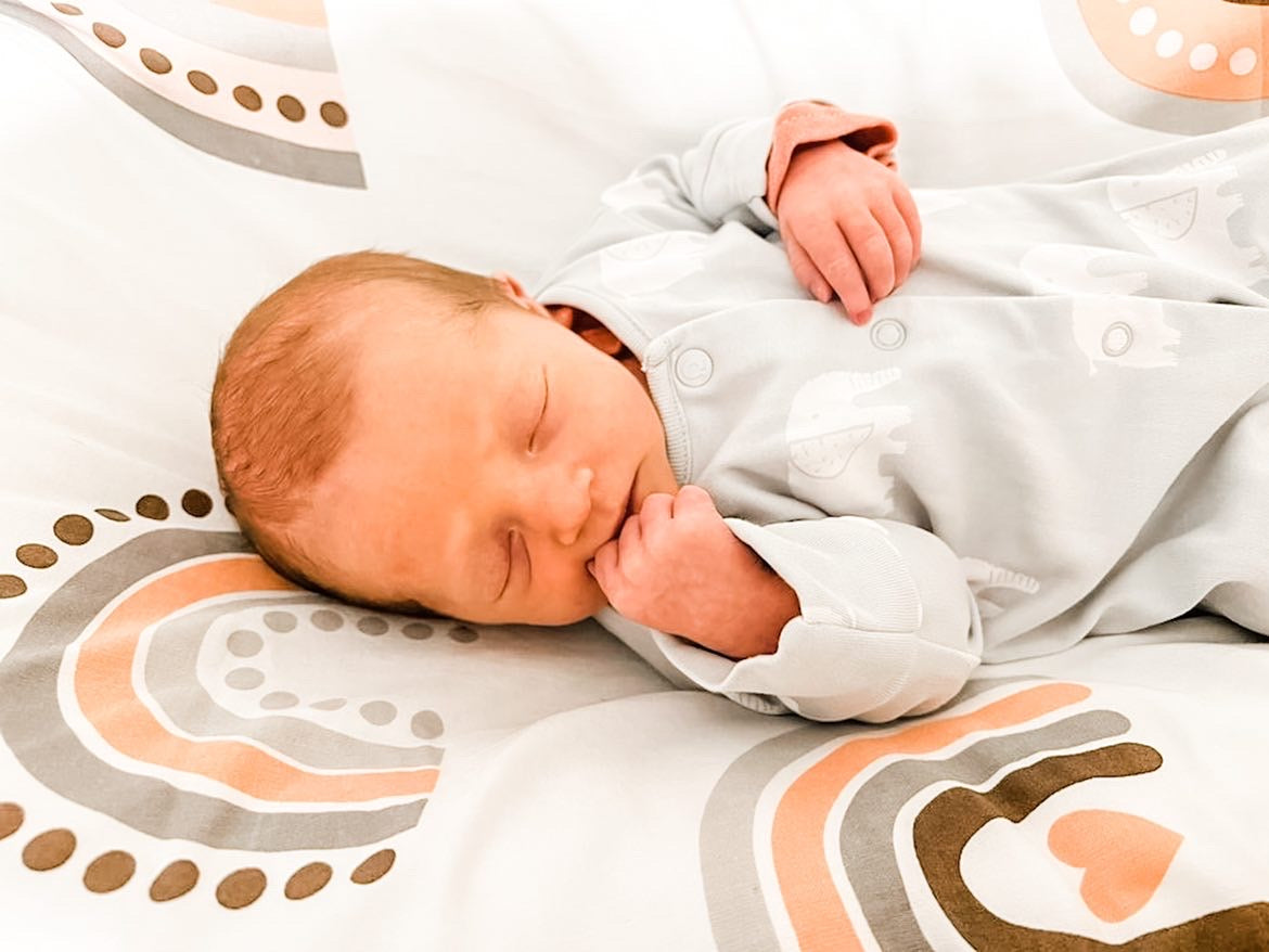 Elli Junior - 100% Organic Double Sided Duvet Cover Set Dino/Cloud (crib size bed)