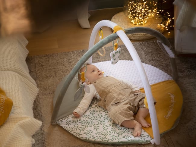 Play Gyms & Play Mats