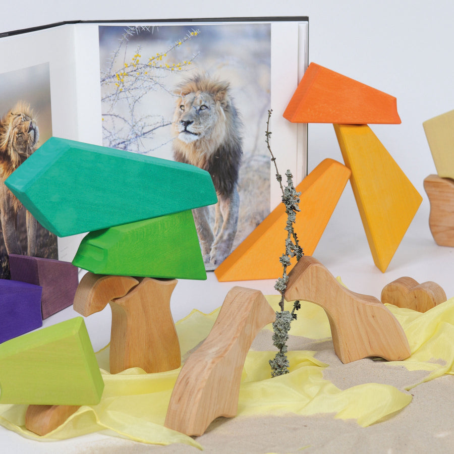 Building Set Rainbow Lion