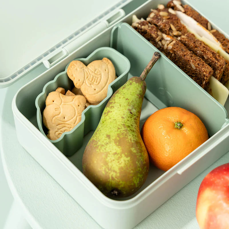 Lunch Box with Divider Playground Green