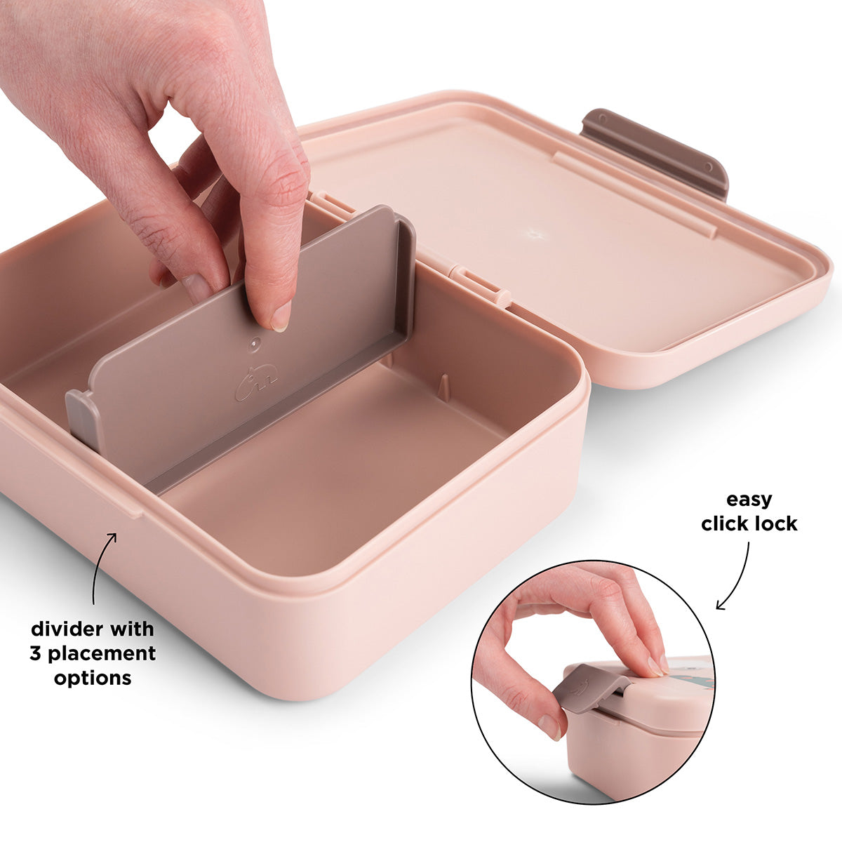 Lunch Box with Divider Tiny Farm Powder