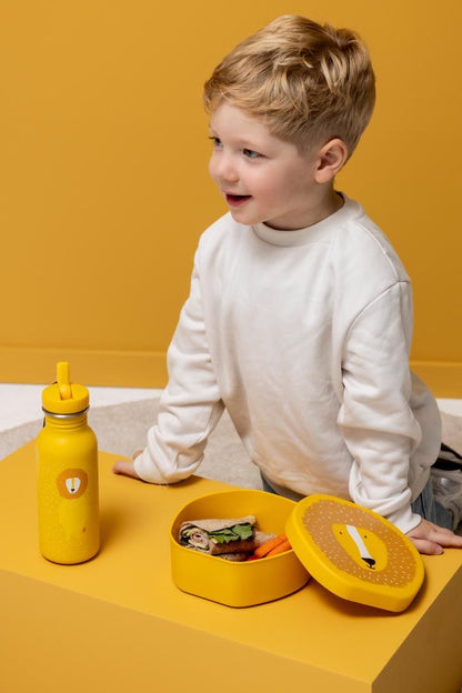 Shaped Lunch Box - Mr. Lion