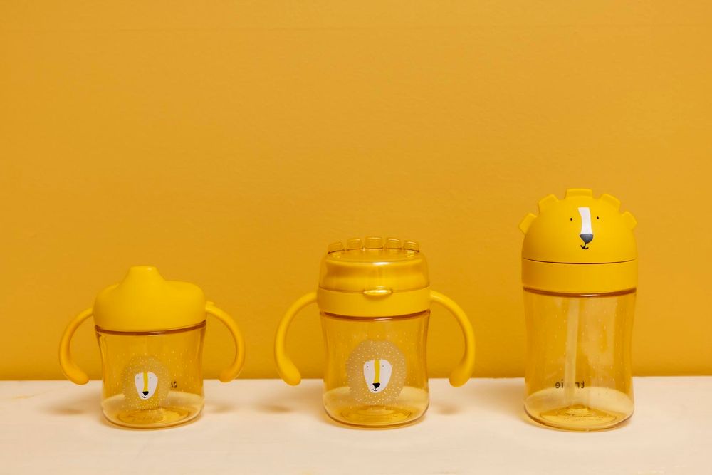 Tritan™ Spill Proof Straw Cup - 300ml - Mr. Lion