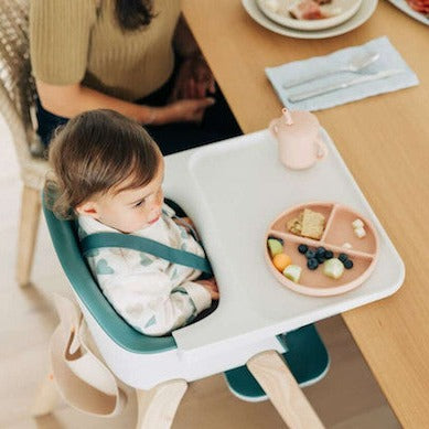 Ciro High Chair - Emrick -Green