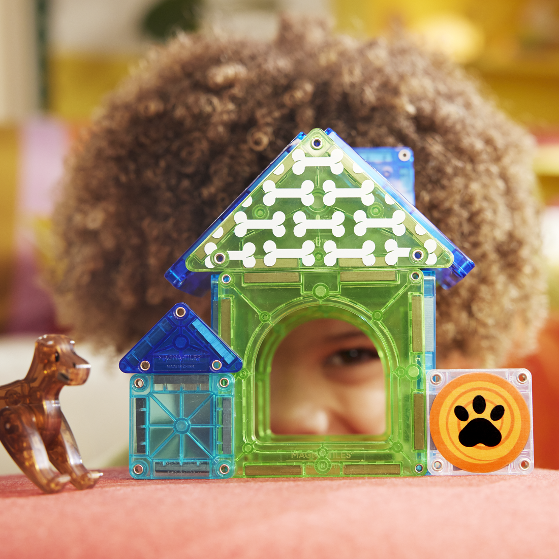 Dog House 13-Piece Magnetic Construction Set