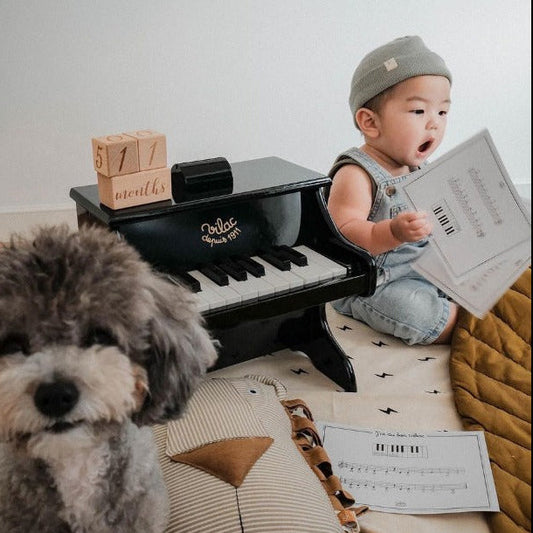 Black piano with scores