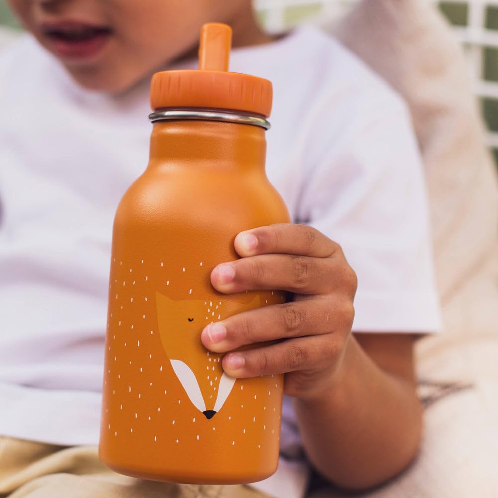 Water Bottle 350ml - Mr. Fox