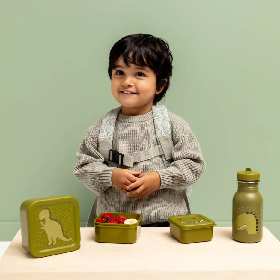 Snack box nesting - 3pcs - Mr. Dino