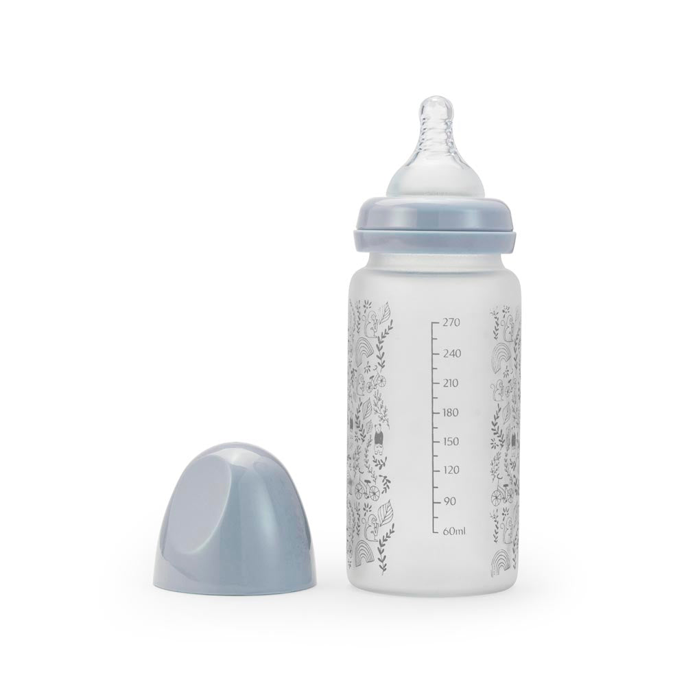 Glass Feeding Bottle