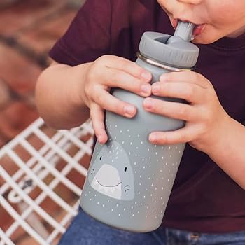 INSULATED Water Bottle (350ml) - Mr. Shark