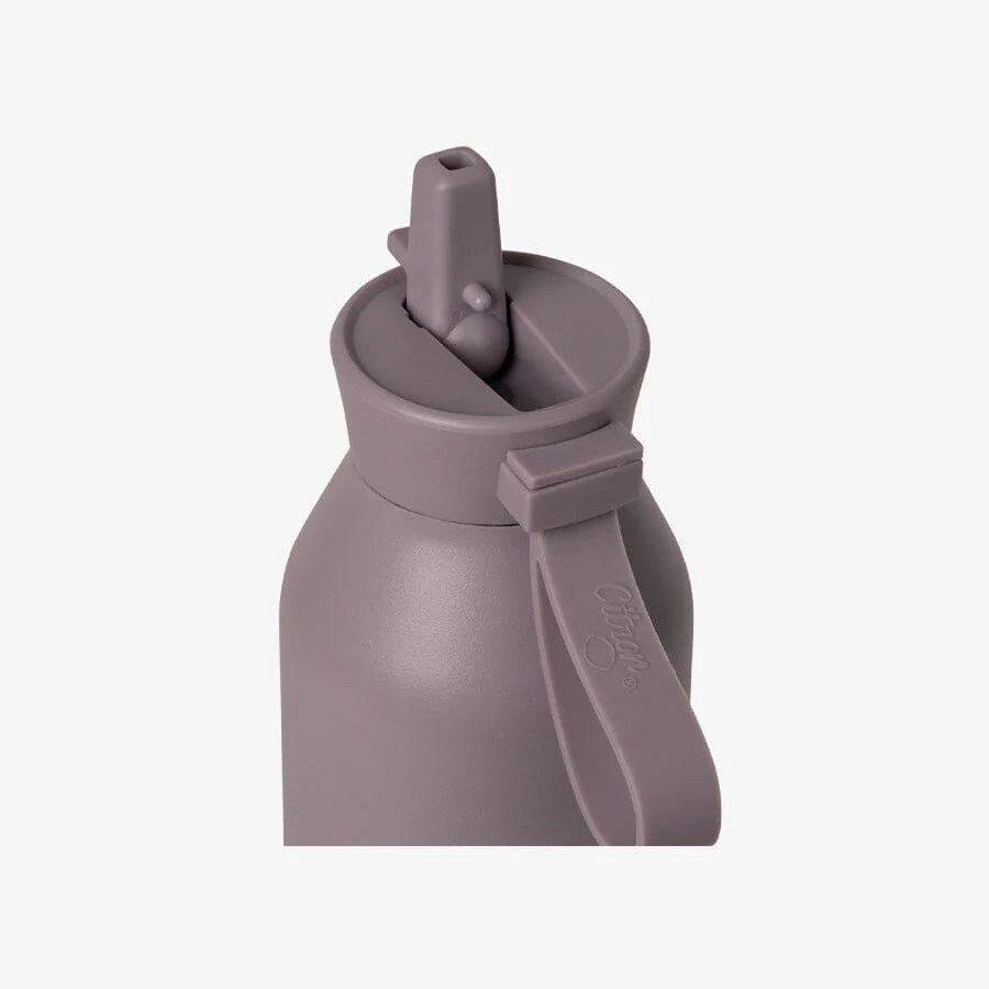 Citron SS Water Bottle 750ml Purple