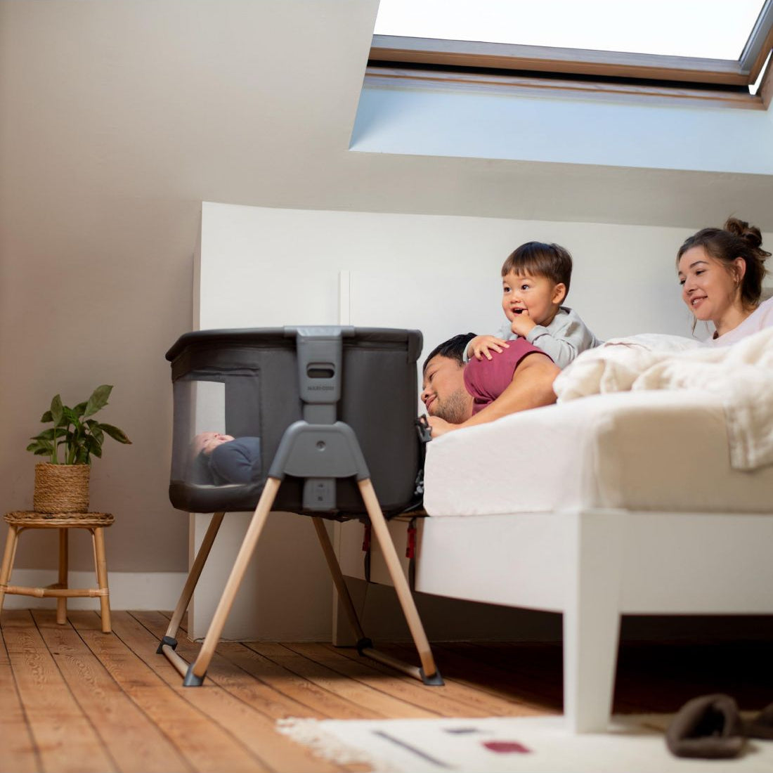 Tori Co-Sleeper Beyond Graphite