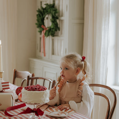 Baby Bib - Blushing Pink