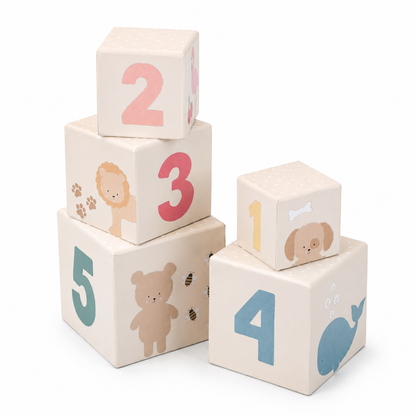 Play And Learn Box - 12-18 Months