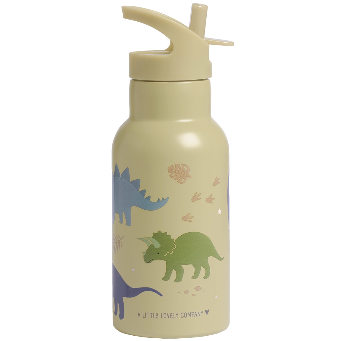 Stainless Steel Drink Bottle