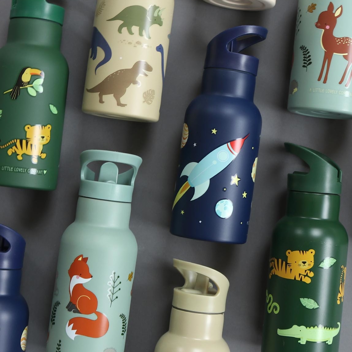 Stainless Steel Drink Bottle