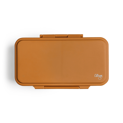 2023 Rectangle Lunchbox