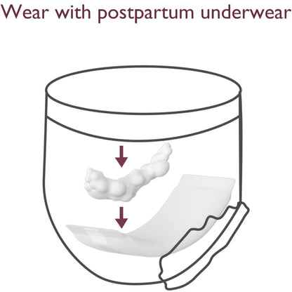 Momcozy - Disposable Period Underwear - 6 counts x 2