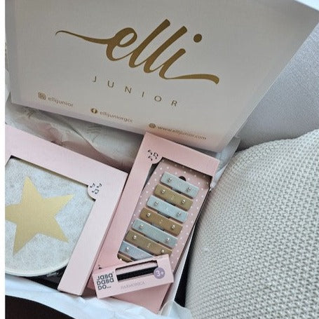 Pink Musical Instrument Set of 3 with Gift Box