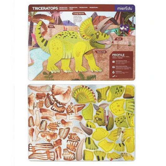 Magnetic Pad  -Triceratops