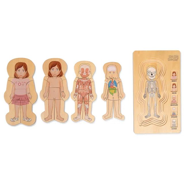 My Body, Puzzle, Girl