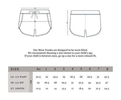 Mesa Trunks - Mineral