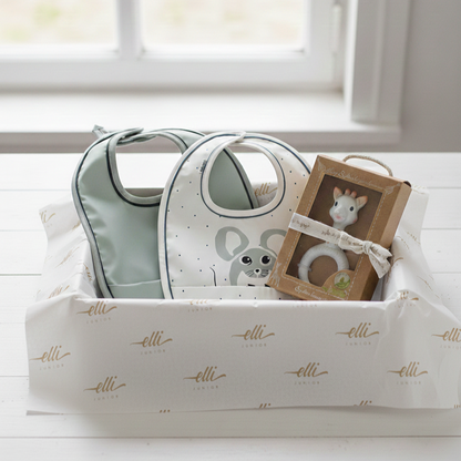 Mouse Gift Set of 2 bibs 1 Teether with Gift Box