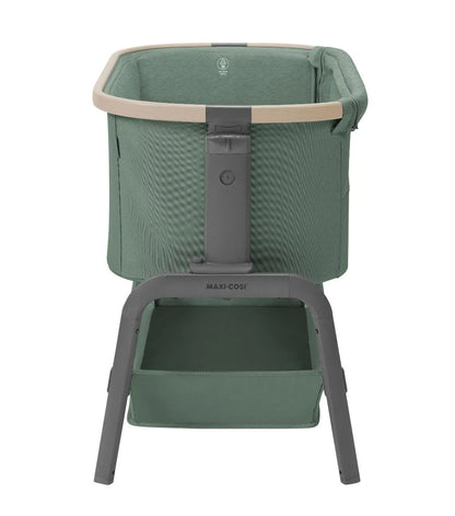 Iora Co-Sleeper Beyond Green Eco