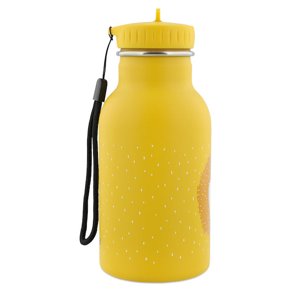 Insulated Water Bottle (350Ml) - Mr. Lion