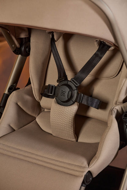 Reef Special Edition - Frappe