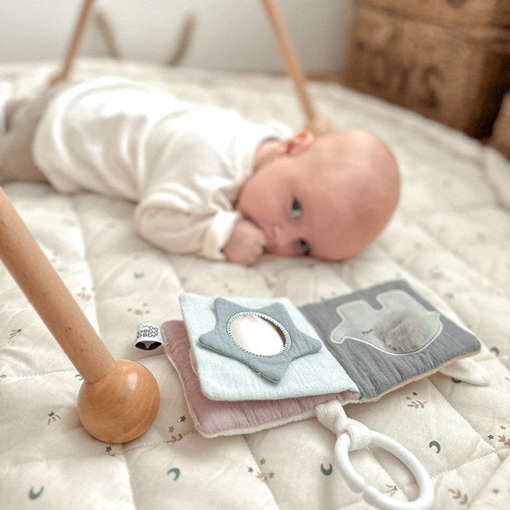 Book Teddy & friends