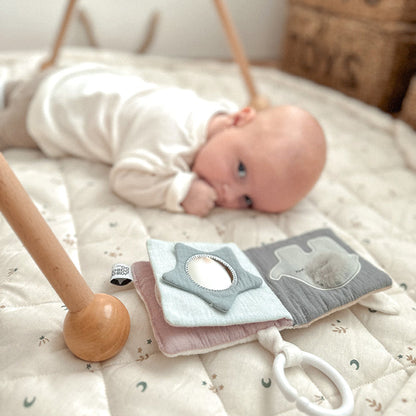 Book Teddy & friends