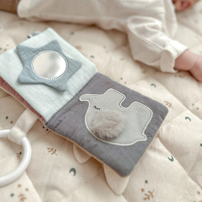 Book Teddy & friends