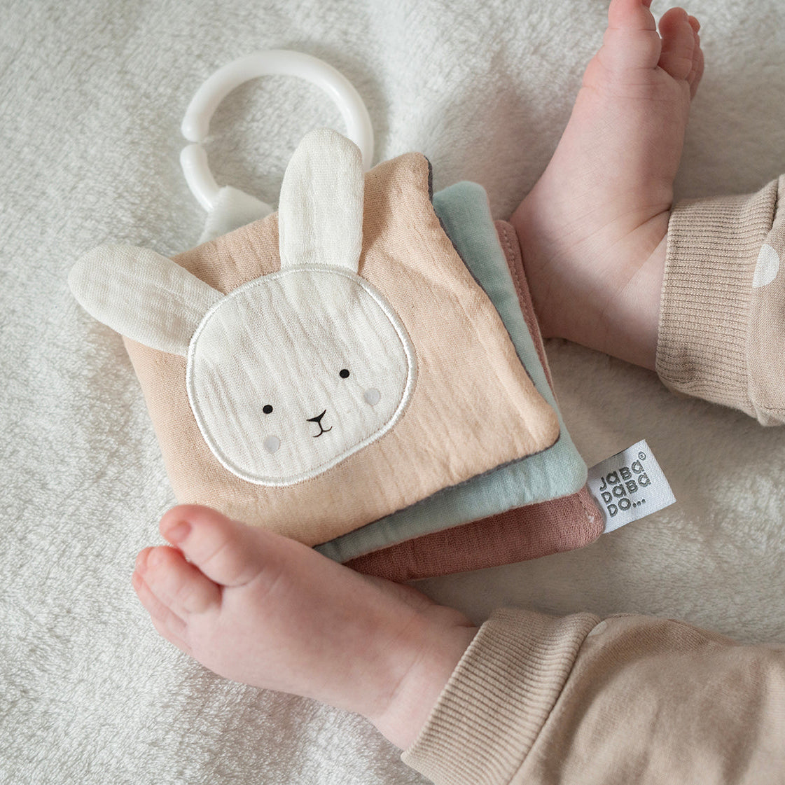 Book Teddy & friends