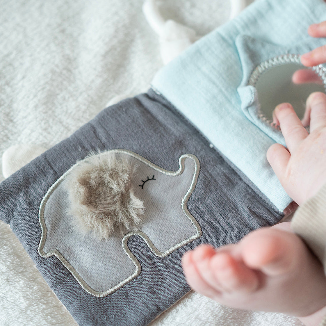 Book Teddy & friends