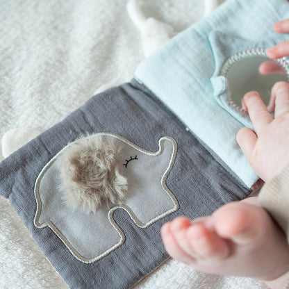 Book Teddy & friends