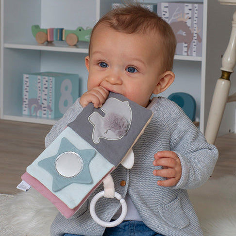 Book Teddy & friends